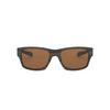 Lunettes de soleil Jupiter Squared