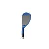 S18 Blue Ion Wedge with Steel Shaft