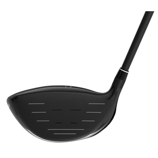 Bois de départ Z585