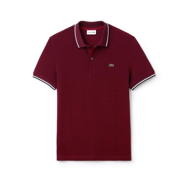 Lacoste men's slim fit hotsell polo shirt