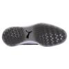 Men's Ignite NXT Spikeless Golf Shoe - GREY/GOLD