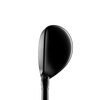 TS2 Hybrid