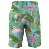Pantalon court Flamingo Garden pour hommes