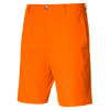 Men's Jackpot Short