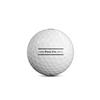Balles Pro V1x AIM