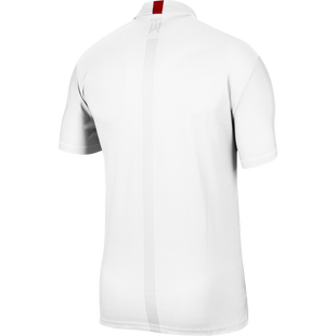 Men's TW Dri-Fit Stripe Short Sleeve Polo