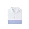 Men's Harvest Engineered Stripe Short Sleeve Polo