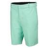 Men's Flex Hybrid Short