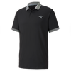 Men's Lions Short Sleeve Polo