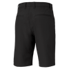 Men's Jackpot Short