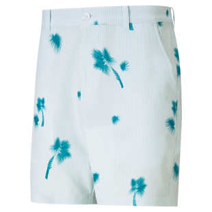 Men's Palmetto Seersucker Short