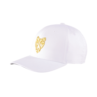 Men's Roar 110 Snapback Cap