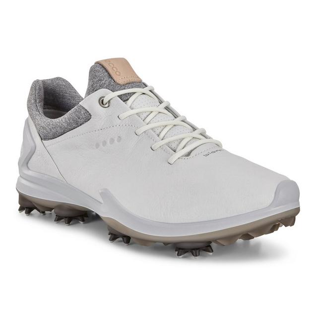 Ecco m golf biom g 3 golf on sale shoe