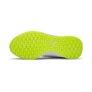 Men's Fusion Evo Spikeless Golf Shoe - Grey/Green