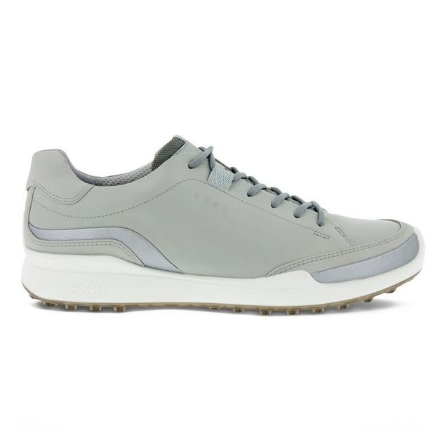 Chaussures Biom Hybrid 1.1 sans crampons pour hommes - Gris