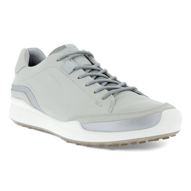 Ecco biom shop hybrid 1