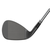 CBX 2 Black Wedge with Graphite Shaft