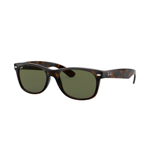 New Wayfarer Sunglasses