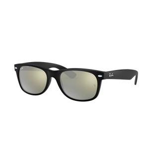 New Wayfarer Matte Sunglasses