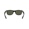 New Wayfarer Matte Sunglasses