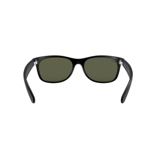 New Wayfarer Matte Sunglasses