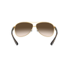 RB3386 Gradient Sunglasses