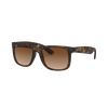 Justin Gradient Sunglasses