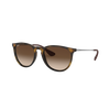 Erika Gradient Sunglasses