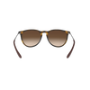 Erika Gradient Sunglasses