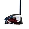 SIM2 Max USA Edition Driver