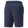 Pantalon court Palm Tree Crew Cloudspun pour hommes