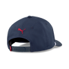 Men's Love Birdies Rope Snapback Cap