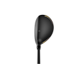 LTDx Black/Gold Hybrid