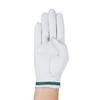 Men's Foreplay Golf Glove