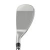 CBX Zipcore Tour Satin Wedge with Steel Shaft