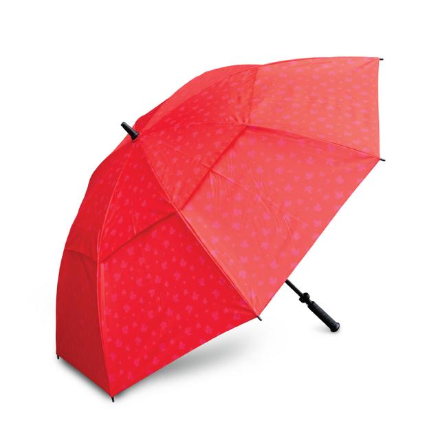 Parapluie 62
