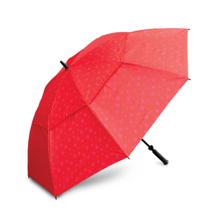 Parapluie 62