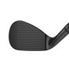 JAWS RAW Black Wedge with Steel Shafts