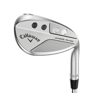 JAWS RAW Chrome Wedge with Graphite Shafts