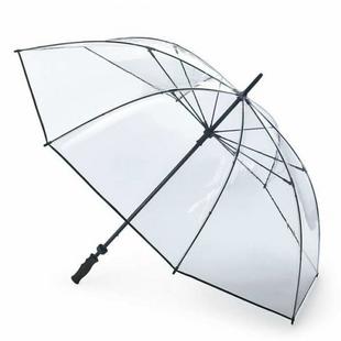 Parapluie Clearview