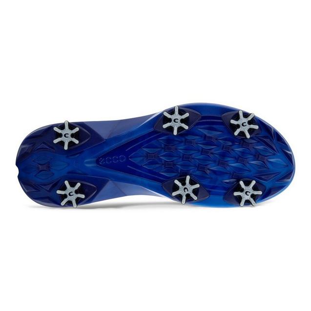 Ecco biom hot sale replacement spikes