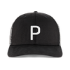 Casquette snapback à motif d'érable pour hommes