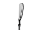 Fer polyvalent KING avec tige en graphite