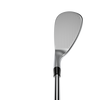SBX Wedge with Steel Shaft