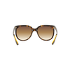 CATS 1000 Sunglasses