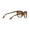 CATS 1000 Sunglasses