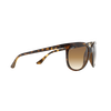 CATS 1000 Sunglasses
