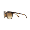CATS 1000 Sunglasses