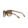 CATS 1000 Sunglasses