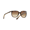 CATS 1000 Sunglasses